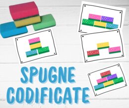 SPUGNE CODIFICATE