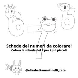 Scheda del 7