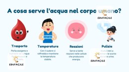 Dalla Borraccia al Piatto - Percorso teorico–pratico su idratazione e alimentazione (Primaria 4ª–5ª)