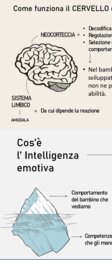 emozioni del bambino e dell'adulto