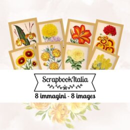 Immagini di fiori - Stile retrò