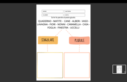 Genere e numero dei sostantivi: grammatica semplice