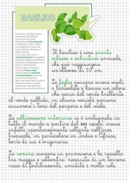 “SuperERBE. Aromi verticali” Estratto STUDIO 8 PIANTE AROMATICHE