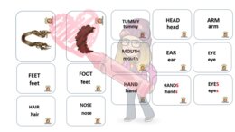 THE BODY FLASHCARD