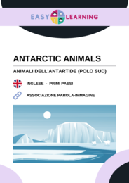 Animali dell'Antartide - Antarctic Animals / Inglese