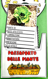 🌿 Lapbook “Il mio orto”