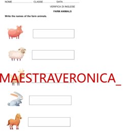 VERIFICA DI INGLESE - GLI ANIMALI