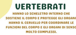 VERTEBRATI E INVERTEBRATI: MINI BOOK