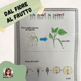 Dal fiore al frutto - illustrazioni da colorare