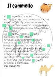 Il kataILcammello, attività sull'uso degli articoli con autocorrezione