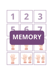 MEMORY 3 IN 1