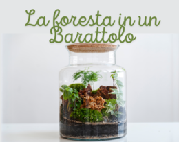 La Magia della Foresta in un Barattolo