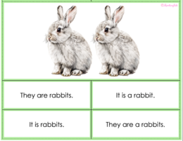 'It is' vs. 'They are' multiple choice cards with PETS vocab