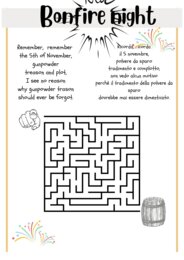 Bonfire Night on 5th of November