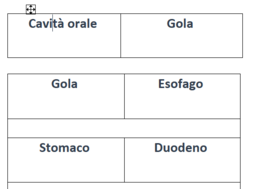 Domino - sistema digestivo