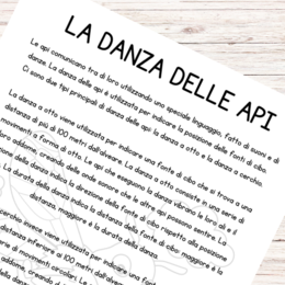 Le api e il miele - schede didattiche