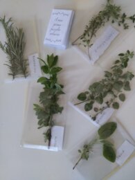 🌿✨ Il Giardino Verticale delle Erbe Aromatiche 🌿🍃