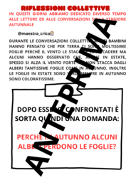 PERCHÈ ALCUNE PIANTE PERDONO LE FOGLIE IN AUTUNNO