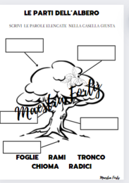 Le parti dell'albero