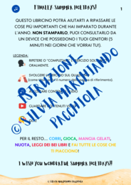 Summer holidays - activity book - classe 2^