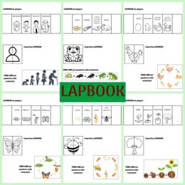 LAPBOOK scienze