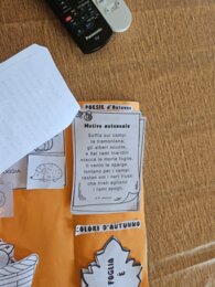 LAPBOOK sull'Autunno