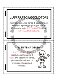 L' Apparato Locomotore - Flip Book