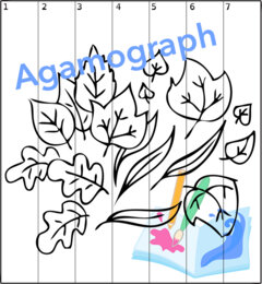 Agamograph 4 stagioni