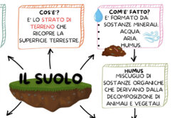 IL SUOLO - SCIENZE