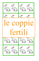 Fibonacci e il quesito dei conigli; materiale concreto per sperimentare la sequenza-classi III/V