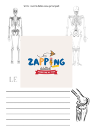 Il corpo umano