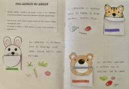 Gli animali si nutrono: erbivori, carnivori, onnivori