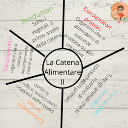 La catena Alimentare