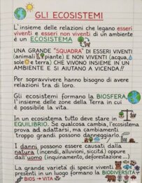 Gli ecosistemi in Scienze