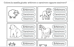 Cosa mangiano gli animali