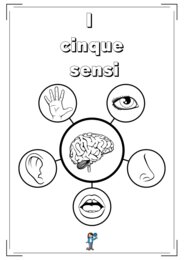 I cinque sensi