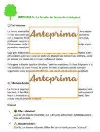 Mappe per il domani- Progetto STEM tra ambiente, coding, robotica, narrazione e tinkering-classi 2-3-4-5