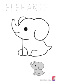 disegni degli animali in ordine alfabetico da colorare