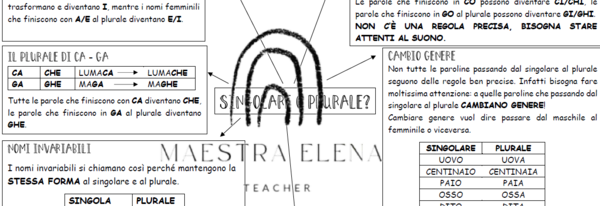 MAPPA SINGOLARE PLURALE