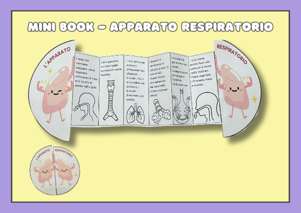 Mini Book - L'apparato respiratorio