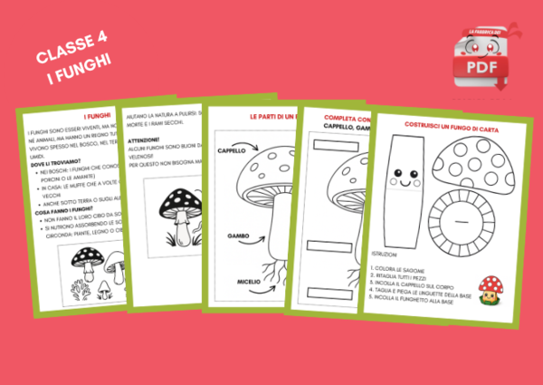 LA FABBRICA DEI PDF: Scienze 4 - I FUNGHI materiale per il quaderno + attività creativa