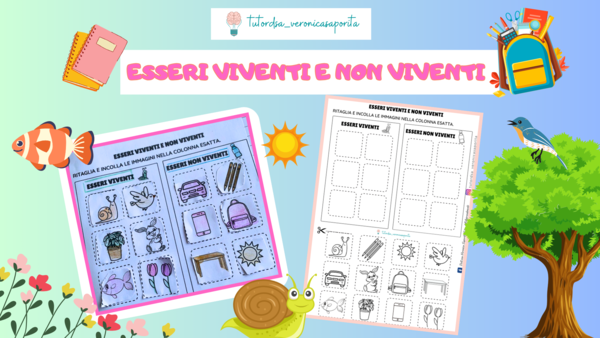 ESSERI VIVENTI E NON VIVENTI - scheda esercizi