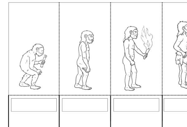 Linea evolutiva ominidi