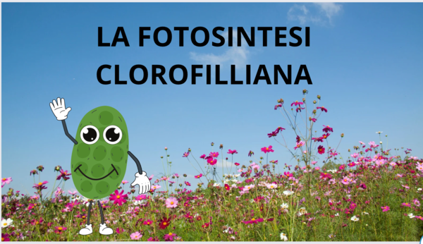 La fotosintesi clorofilliana