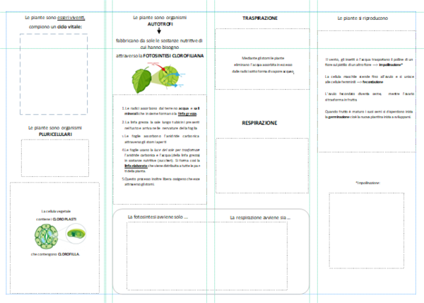 SCIENZE - Semplice lapbbok "le piante"