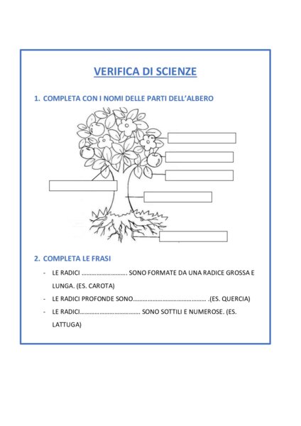 VERIFICA PIANTA E FOGLIE