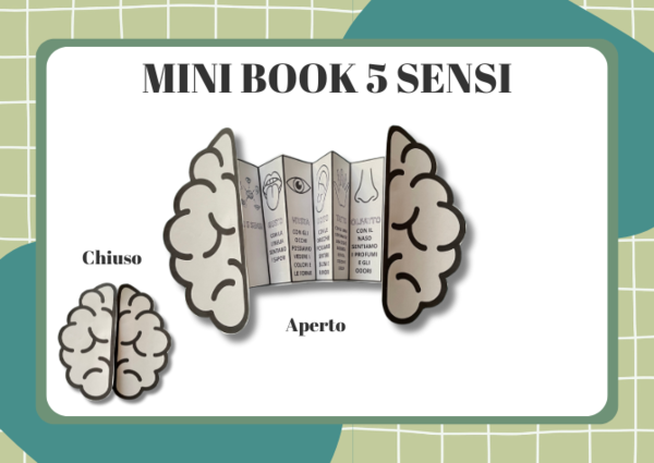 Mini Book 5 sensi