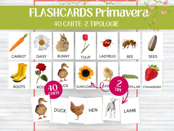 Flashcards Primavera in Inglese – Carte Immagine-Parola, Gioco di Abbinamento e Vocabolario, Infanzia e Scuola Primaria - Montessori - Impara l'inglese giocando - Bellissime carte primaverili per imparare o ripassare parole in inglese