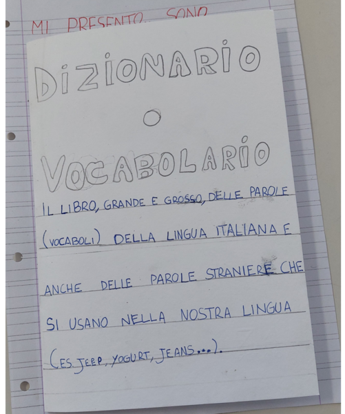 Il dizionario
