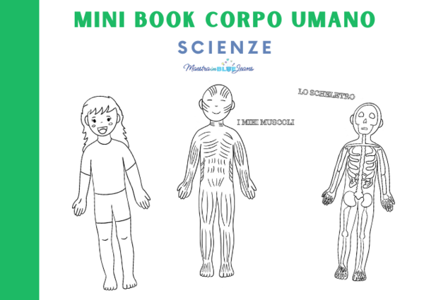 Mini Book Corpo Umano